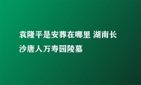 袁隆平是安葬在哪里 湖南长沙唐人万寿园陵墓