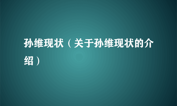 孙维现状（关于孙维现状的介绍）