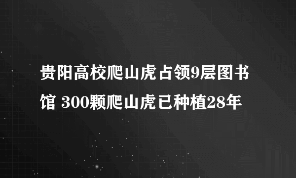 贵阳高校爬山虎占领9层图书馆 300颗爬山虎已种植28年