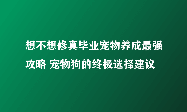 想不想修真毕业宠物养成最强攻略 宠物狗的终极选择建议