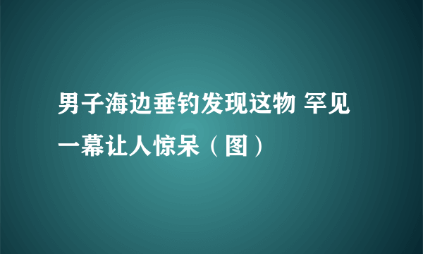 男子海边垂钓发现这物 罕见一幕让人惊呆（图）