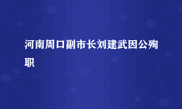 河南周口副市长刘建武因公殉职