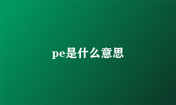 pe是什么意思