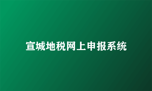 宣城地税网上申报系统