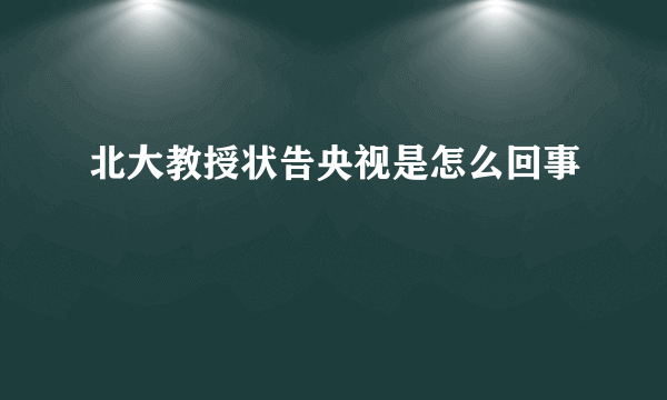 北大教授状告央视是怎么回事