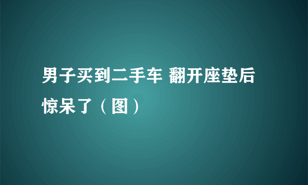 男子买到二手车 翻开座垫后惊呆了（图）