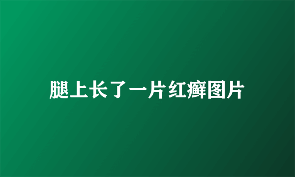 腿上长了一片红癣图片