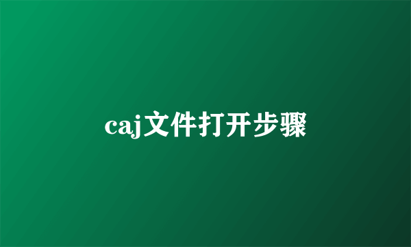 caj文件打开步骤