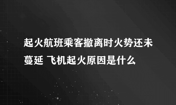 起火航班乘客撤离时火势还未蔓延 飞机起火原因是什么