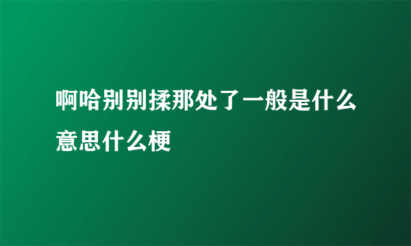 啊哈别别揉那处了一般是什么意思什么梗