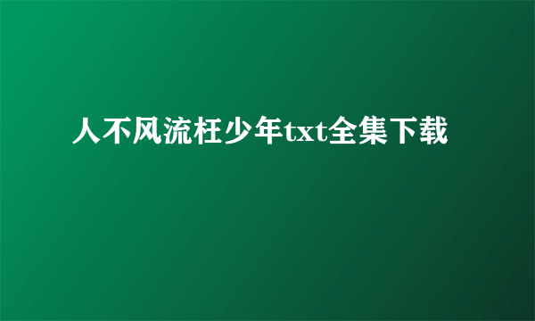 人不风流枉少年txt全集下载