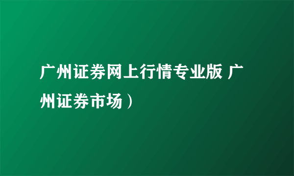 广州证券网上行情专业版 广州证券市场）