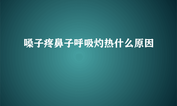 嗓子疼鼻子呼吸灼热什么原因