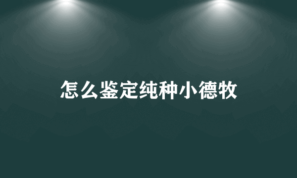 怎么鉴定纯种小德牧