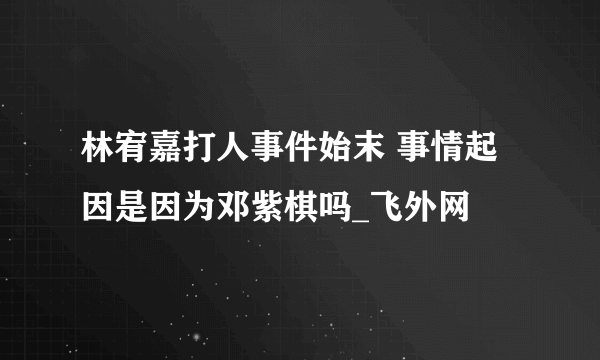 林宥嘉打人事件始末 事情起因是因为邓紫棋吗_飞外网