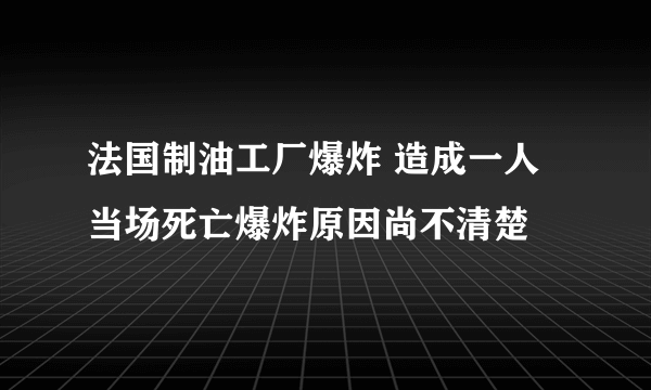 法国制油工厂爆炸 造成一人当场死亡爆炸原因尚不清楚