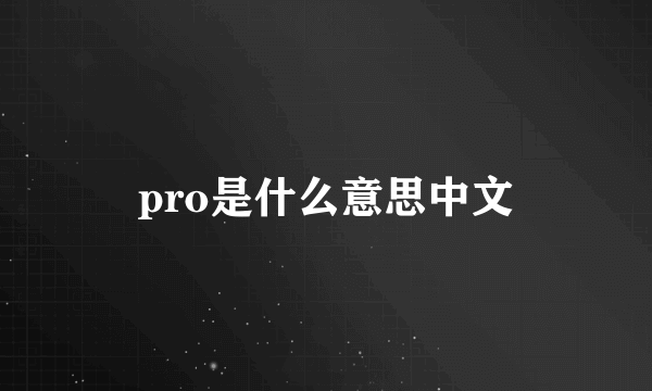 pro是什么意思中文