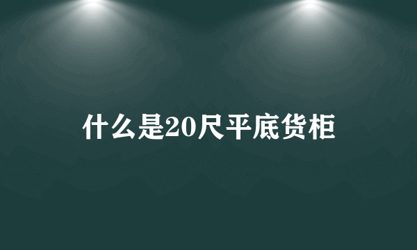 什么是20尺平底货柜