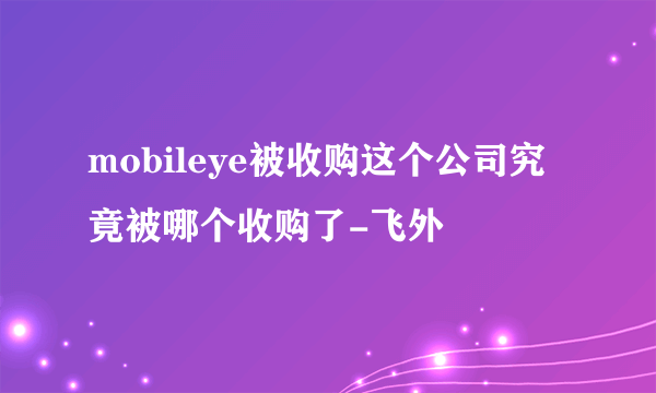 mobileye被收购这个公司究竟被哪个收购了-飞外