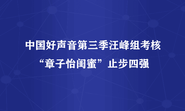 中国好声音第三季汪峰组考核   “章子怡闺蜜”止步四强