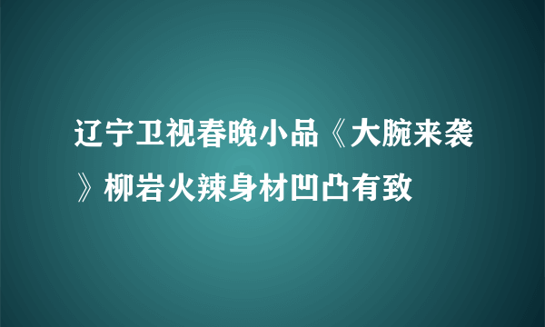 辽宁卫视春晚小品《大腕来袭》柳岩火辣身材凹凸有致