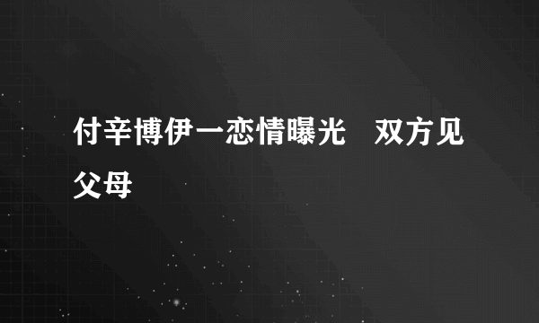 付辛博伊一恋情曝光   双方见父母