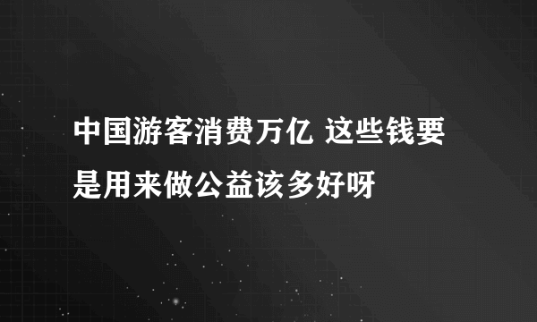 中国游客消费万亿 这些钱要是用来做公益该多好呀