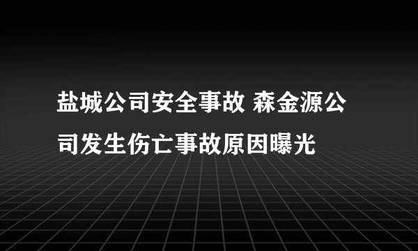 盐城公司安全事故 森金源公司发生伤亡事故原因曝光