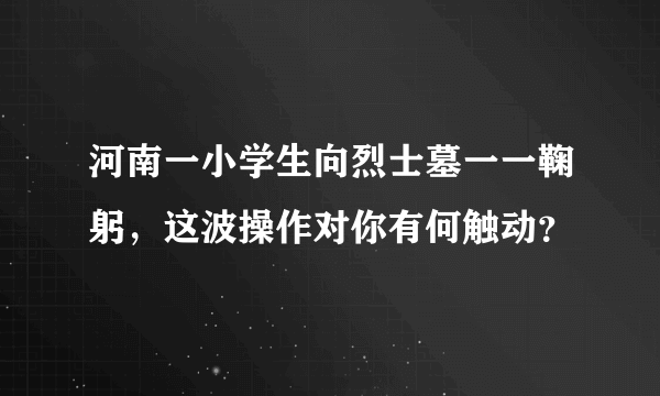 河南一小学生向烈士墓一一鞠躬，这波操作对你有何触动？