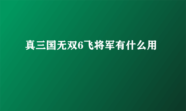 真三国无双6飞将军有什么用