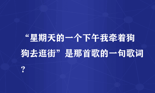 “星期天的一个下午我牵着狗狗去逛街”是那首歌的一句歌词？