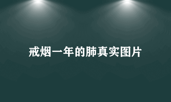 戒烟一年的肺真实图片