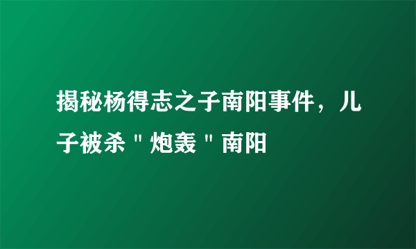 揭秘杨得志之子南阳事件，儿子被杀＂炮轰＂南阳