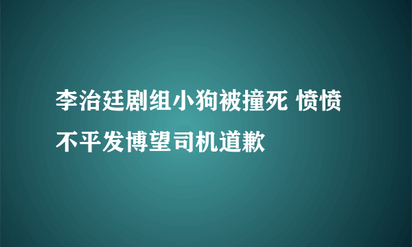 李治廷剧组小狗被撞死 愤愤不平发博望司机道歉