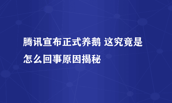 腾讯宣布正式养鹅 这究竟是怎么回事原因揭秘