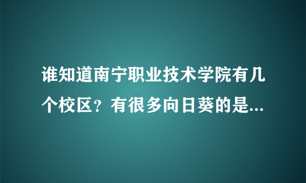 谁知道南宁职业技术学院有几个校区？有很多向日葵的是哪个校区，地址是？从琅东汽车站如何到达这个校区