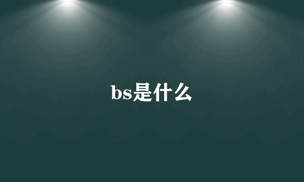 bs是什么