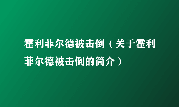 霍利菲尔德被击倒（关于霍利菲尔德被击倒的简介）