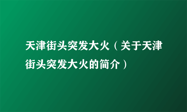 天津街头突发大火（关于天津街头突发大火的简介）