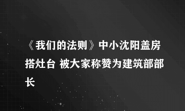 《我们的法则》中小沈阳盖房搭灶台 被大家称赞为建筑部部长