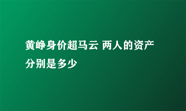 黄峥身价超马云 两人的资产分别是多少