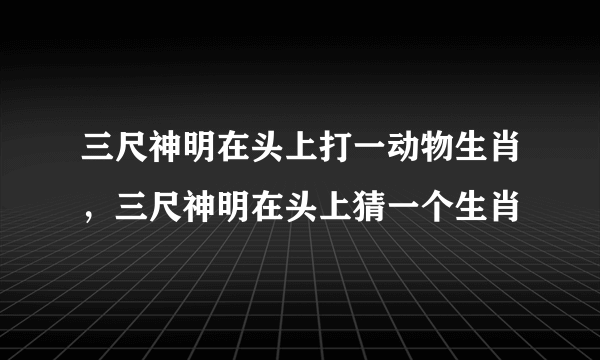 三尺神明在头上打一动物生肖，三尺神明在头上猜一个生肖