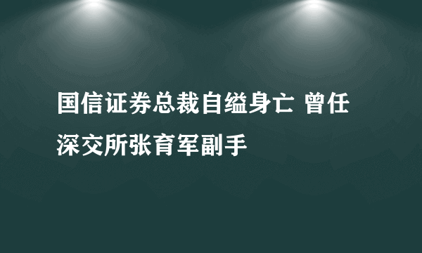 国信证券总裁自缢身亡 曾任深交所张育军副手