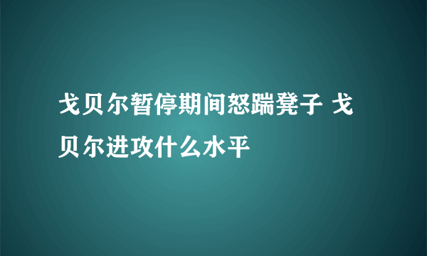 戈贝尔暂停期间怒踹凳子 戈贝尔进攻什么水平