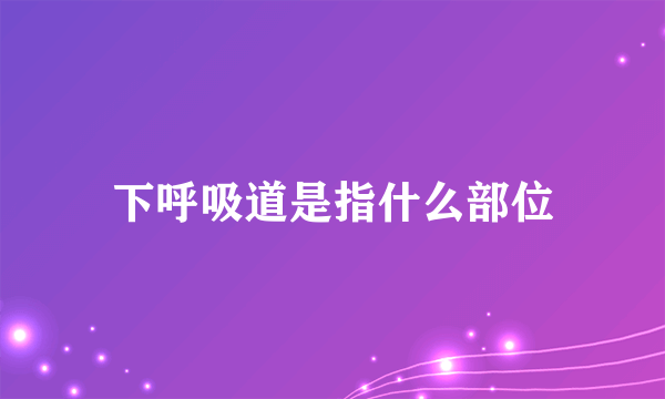 下呼吸道是指什么部位