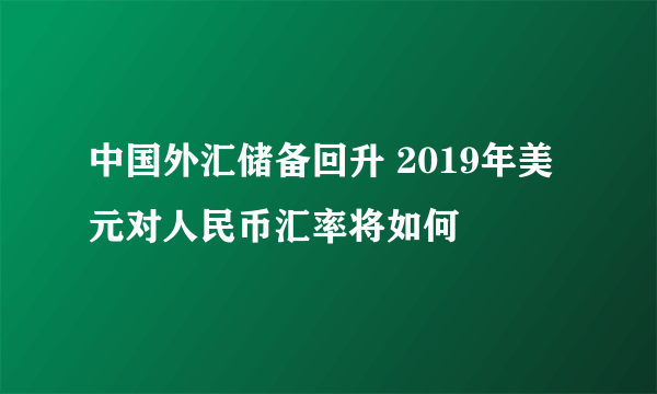 中国外汇储备回升 2019年美元对人民币汇率将如何