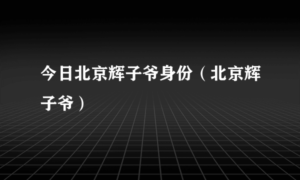 今日北京辉子爷身份（北京辉子爷）