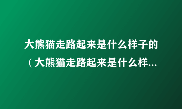 大熊猫走路起来是什么样子的（大熊猫走路起来是什么样子的图片）-飞外