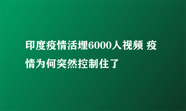 印度疫情活埋6000人视频 疫情为何突然控制住了