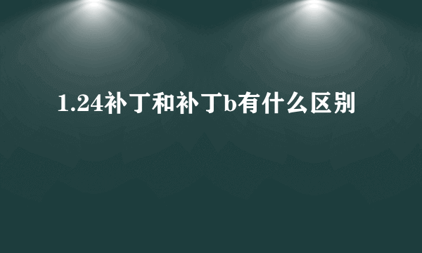 1.24补丁和补丁b有什么区别